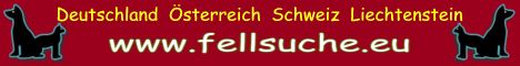 Suchmeldungen